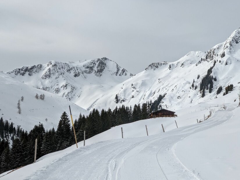 Winterweg zur Trattenbachalm Verschneiter Winterwanderweg in den Alpen mit einer Holzhütte und Nadelbäumen vor schneebedeckten Berggipfeln.