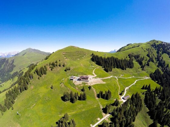 Luftaufnahme des Alpengasthofs Bichlalm auf einem grünen Bergrücken mit Wanderwegen und Nadelbäumen.