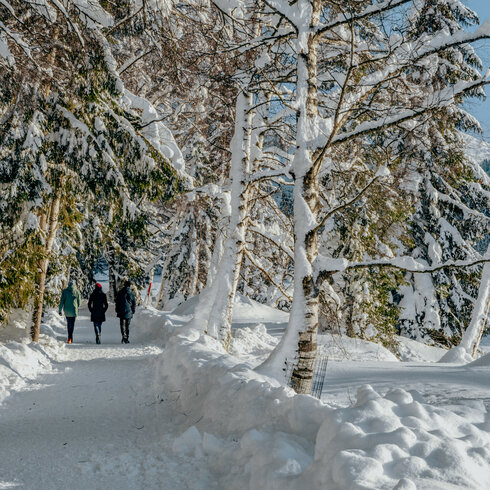 Drei Personen spazieren auf einem verschneiten Weg am Schwarzsee in Kitzbühel, umgeben von winterlicher Landschaft.