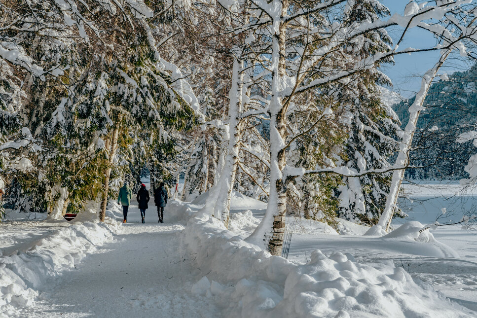 Drei Personen spazieren auf einem verschneiten Weg am Schwarzsee in Kitzbühel, umgeben von winterlicher Landschaft.
