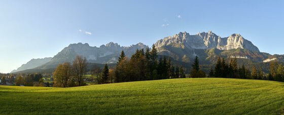 Panoramaaufnahme eines schroffen Gebirgsmassivs hinter einer grünen Wiese und Nadelbäumen unter blauem Himmel.
