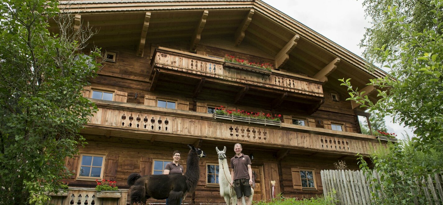 Lama Trekking Sommer