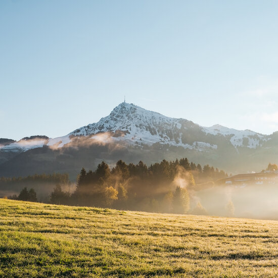 Kitzbüheler Horn im Herbst