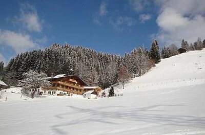 Ein traditionelles Holzhaus in einer verschneiten Berglandschaft vor einem Nadelwald unter blauem Himmel.