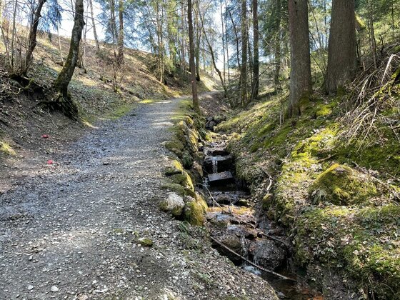 Ein geschotterter Waldweg verläuft neben einem kleinen Bachlauf mit bemoosten Steinen.