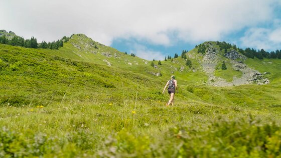 Eine Wanderin mit Rucksack geht über eine grüne Almwiese in Richtung felsiger Berggipfel unter bewölktem Himmel.