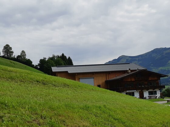 Ein traditionelles Holzhaus mit angebautem Stallgebäude an einem grünen Grashang vor bewaldeten Bergen.