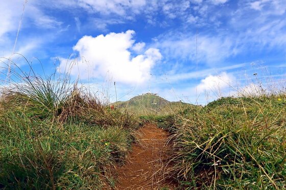 Wanderweg am Karstweg Ein schmaler, erdiger Wanderweg führt durch hohes Gras auf einen grasbewachsenen Berggipfel zu.
