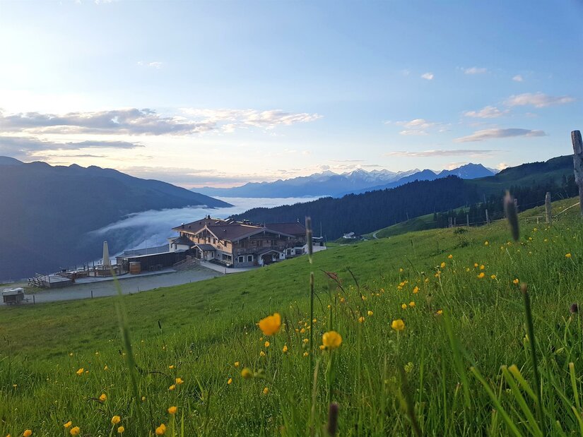 Alpines Gebäude auf einer grünen Bergwiese mit gelben Blumen vor Gebirgskette und Nebeltal.