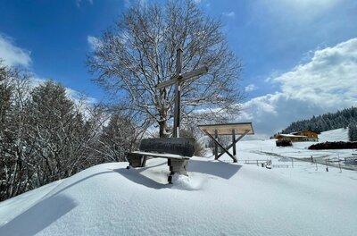 Hollenauer Kreuz im Winter Holzkreuz mit Sitzbank auf einem verschneiten Hügel vor einem Baum und blauem Himmel.