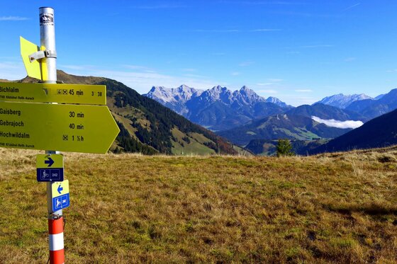 Gelbe Wegweiser auf einer Bergwiese mit Blick auf ein Gebirgsmassiv unter blauem Himmel.