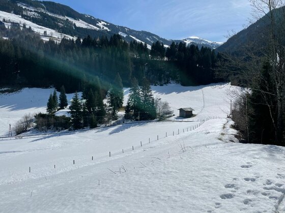Winterliche Pocherrunde Verschneite Berglandschaft mit einer kleinen Holzhütte, Nadelbäumen und einem Zaun unter blauem Himmel.