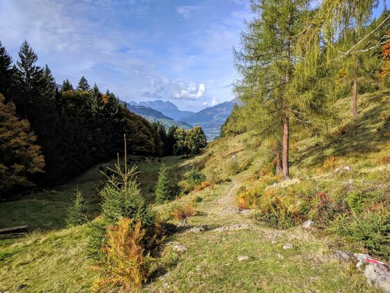 Schmaler Wanderpfad auf einem Grashang mit Blick auf bewaldete Berge unter blauem Himmel.