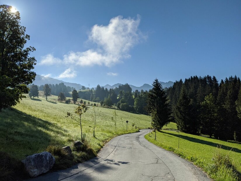 Asphaltierter Wanderweg führt durch grüne Almwiesen und Nadelwald unter blauem Himmel.