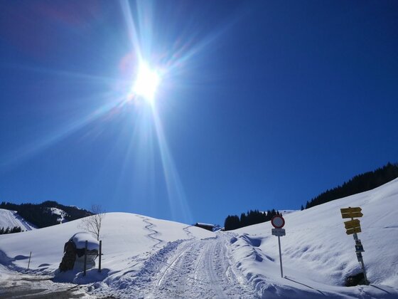 Verschneiter Wanderweg mit Wegweisern unter blauem Himmel und strahlender Sonne.