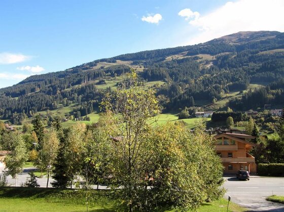 Blick von einem Balkon auf bewaldete Berghänge, Wiesen und Wohnhäuser unter blauem Himmel.