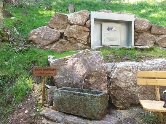Ein steinerner Brunnen mit Holztrog vor einer Felswand im Wald.