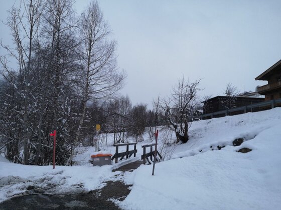 Winterwanderweg bei Hechenmoos Verschneiter Wanderweg mit kleiner Holzbrücke und kahlen Bäumen unter grauem Himmel.