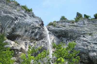 Schleierwasserfall Ein Wasserfall fließt über eine steile Felswand. Darunter wachsen grüne Pflanzen in der Nähe des Wassers.