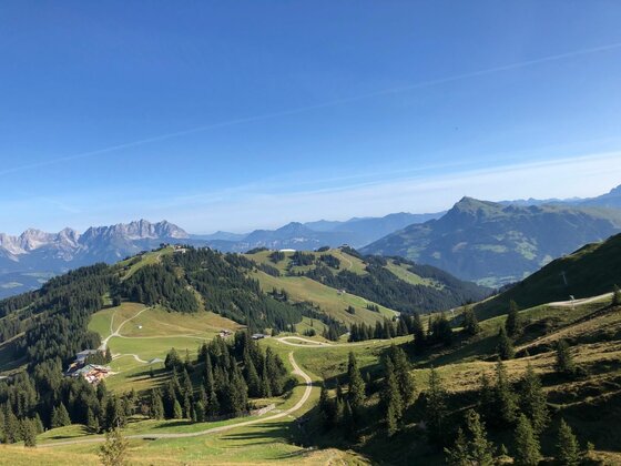Almlandschaft am KAT Walk Blick über grüne Almwiesen und bewaldete Hügel auf ein Bergpanorama unter blauem Himmel.