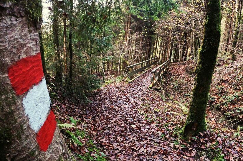 Waldweg mit rot-weißer Markierung an einem Baumstamm und einer Holzbrücke im Hintergrund.