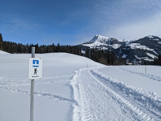 Ein präparierter Winterwanderweg führt durch eine verschneite Landschaft mit Hinweisschild und Bergen im Hintergrund.