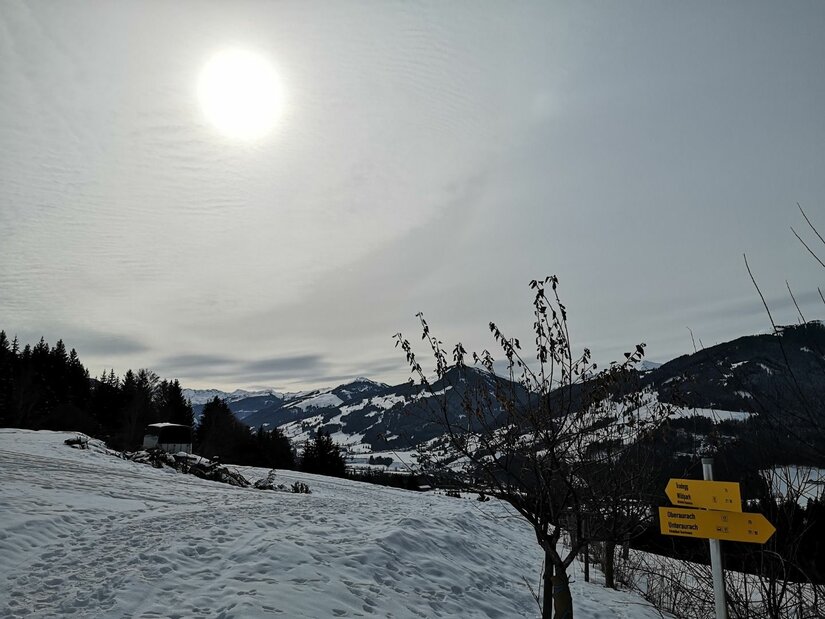 Verschneiter Hang mit gelben Wegweisern vor bewaldeten Bergen unter hellem Himmel.