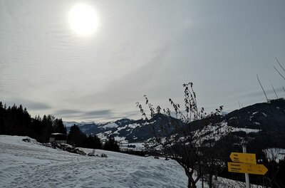 Wanderwegweiser bei Buchau im Winter Verschneiter Hang mit gelben Wegweisern vor bewaldeten Bergen unter hellem Himmel.