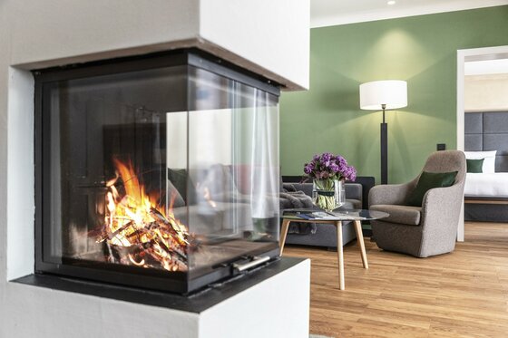Wohnbereich mit Kamin Brennendes Kaminfeuer hinter Glas in einem modern eingerichteten Wohnzimmer mit Sessel und Couch.