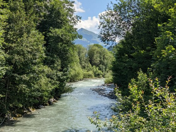 Ein fließender Fluss zwischen dichten grünen Bäumen mit einem Berggipfel im Hintergrund unter blauem Himmel.