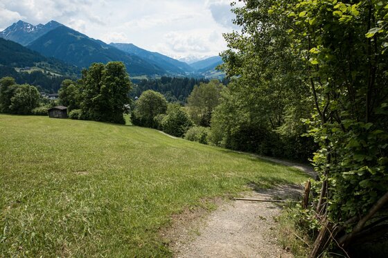 Schmaler Wanderweg führt über eine grüne Wiese in Richtung bewaldeter Berge unter bewölktem Himmel.