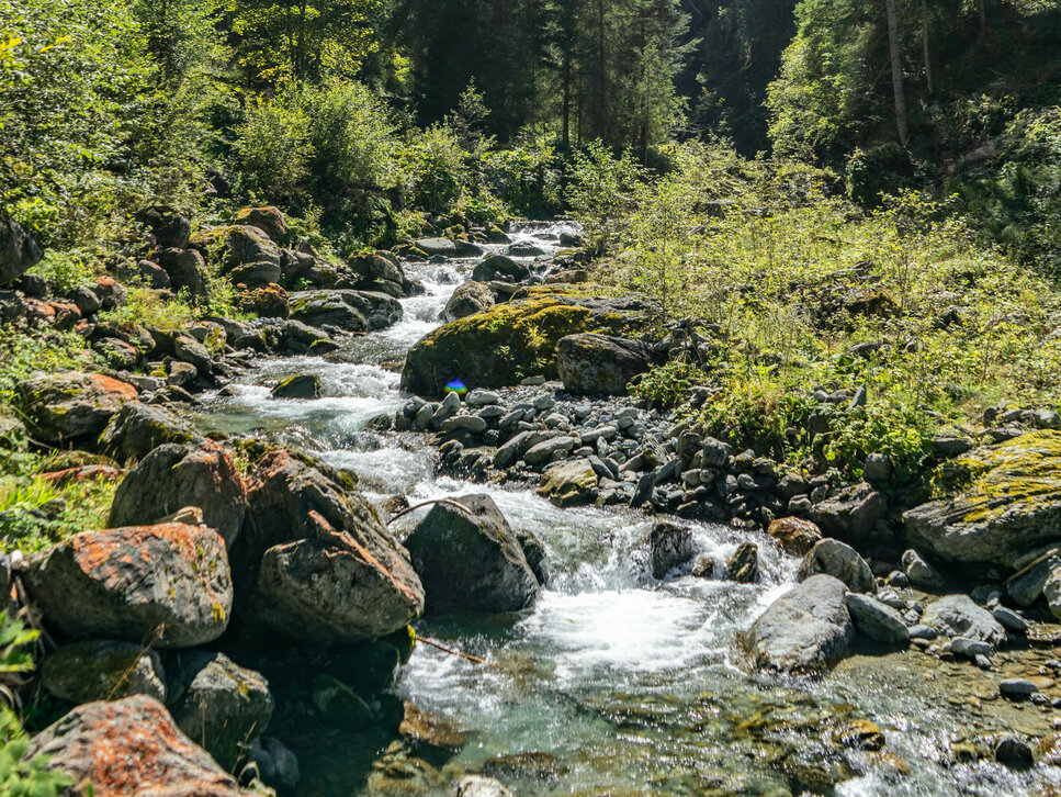 Die friedliche Szenerie zeigt einen sprudelnden Fluss, der durch eine üppige Waldlandschaft mit buntem Herbstlaub fließt.
