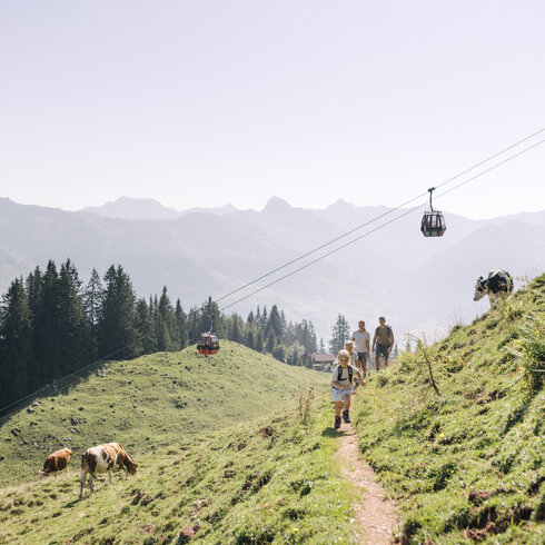 Wanderung am Hahnenkamm bei der Streif in Kitzbühel