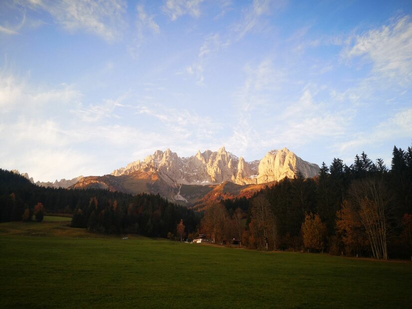 Blick über eine grüne Wiese auf ein bewaldetes Tal und das schroffe Bergmassiv des Wilden Kaisers.