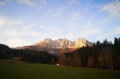 Blick über eine grüne Wiese auf ein bewaldetes Tal und das schroffe Bergmassiv des Wilden Kaisers.