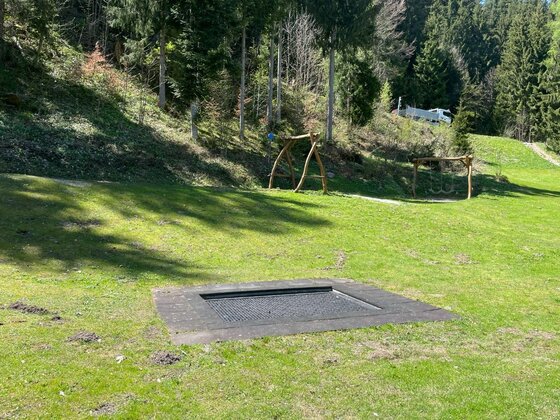 Spielplatz Einsiedelei Trampolin Ein in den Boden eingelassenes Trampolin auf einer grünen Wiese vor einem Waldrand.
