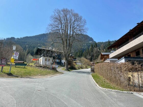 Ganslernweg in Kitzbühel Asphaltierte Straße in einer Siedlung mit Wohnhäusern, einem großen Baum und bewaldeten Bergen im Hintergrund.