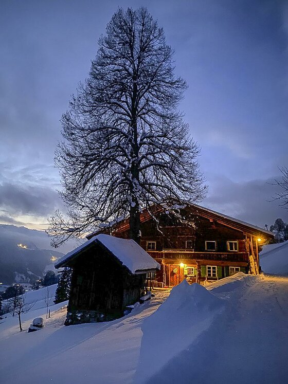 374E3BFF-E196-442D-A4D2-3F9D754391FB_1_105_c Ein gemütliches Holzhaus im Schnee, umgeben von hohen Bäumen. Der Himmel ist leicht bewölkt und das Licht des Hauses strahlt warm in die winterliche Landschaft.
