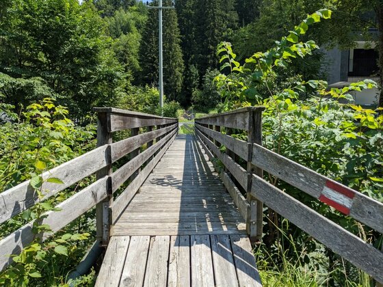 Holzsteg bei Pürsting Schmale Holzbrücke mit Geländer führt über einen Bach in einen Wald.