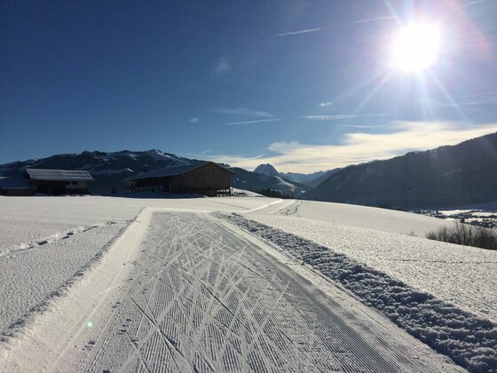 Präparierte Langlaufloipe in verschneiter Hügellandschaft mit Holzhütten und Bergen im Hintergrund bei Sonnenschein.
