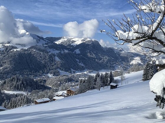 04925288-E999-4AB2-BF16-C167FE8587C1_1_105_c Eine winterliche Landschaft mit schneebedeckten Bergen und einem klaren Himmel. Im Vordergrund sind verschneite Hügel und einige Holzhäuser zu sehen.