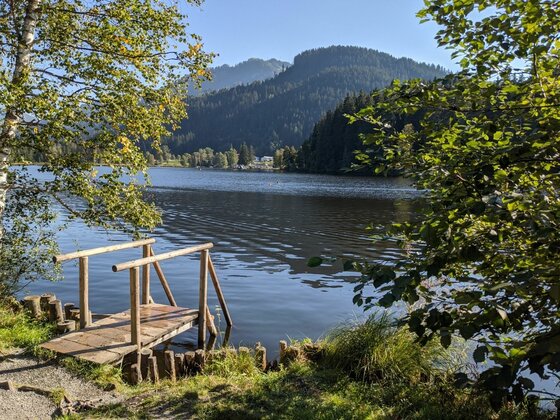 Seeufer der Lebenbergrunde Holzsteg am Ufer eines Sees mit bewaldeten Bergen im Hintergrund.