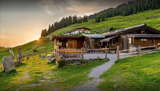 Hochwildalm im Sommer Holzhütte mit Außenterrasse auf einer grünen Almwiese bei Sonnenuntergang.