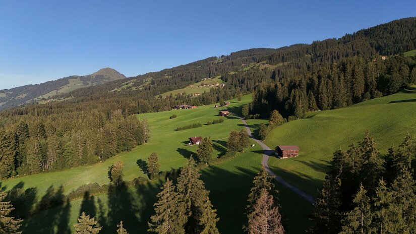 Luftaufnahme von grünen Almwiesen mit Holzhütten, einem asphaltierten Weg und bewaldeten Berghängen.
