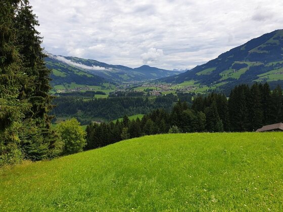Blick über eine grüne Wiese auf ein bewaldetes Tal mit Bergen im Hintergrund unter bewölktem Himmel.