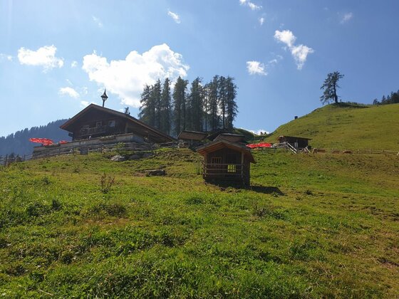 Berghütte am Seidlalmweg Berghütte aus Holz auf einer grünen Almwiese unter blauem Himmel.