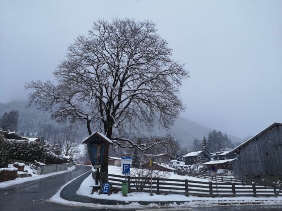 Verschneite Dorfstraße mit einem großen, laublosen Baum und einem hölzernen Wegkreuz vor Bergen.