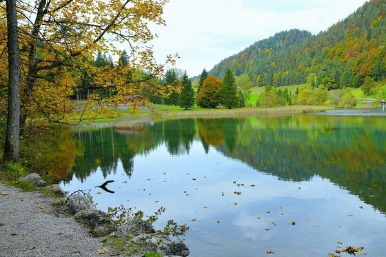 MasterHomes® GmbH Ein malerischer See umgeben von buntem Herbstlaub. Die sanften Hügel spiegeln sich friedlich im Wasser.