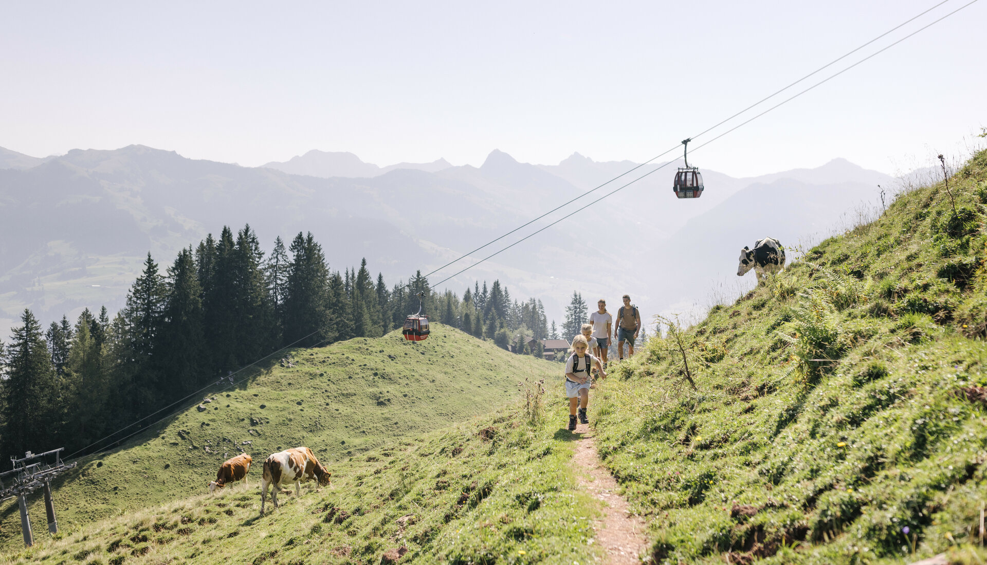 Wandern Hahnnekamm