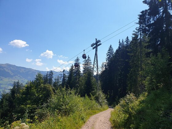 Eine Gondelbahn überquert einen geschotterten Waldweg vor bewaldeten Bergen unter blauem Himmel.